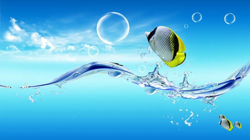 Fish leaping from water
