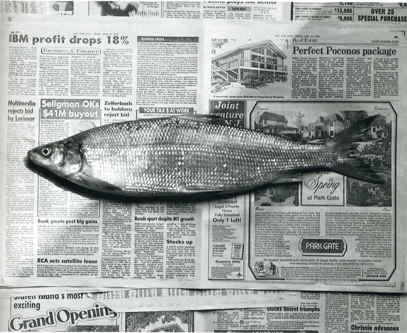 fish on newspaper page