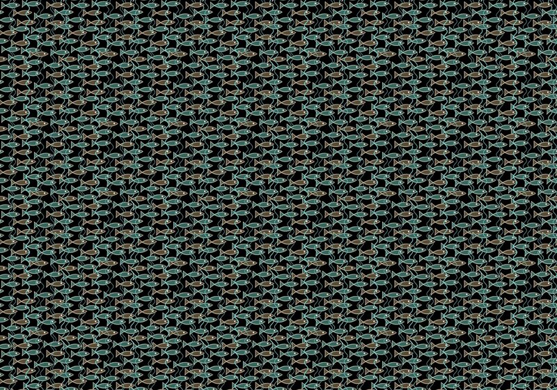 Fish pattern background