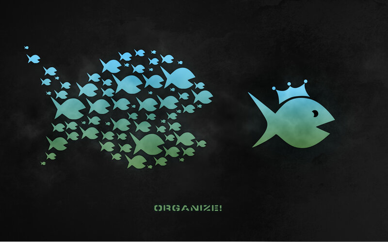 fish school and crowned fish
