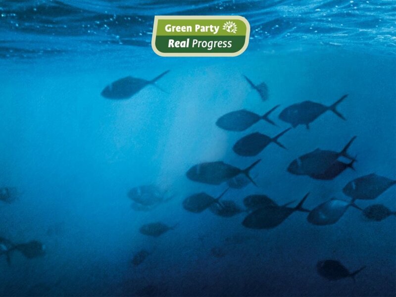 Fish school underwater with logo