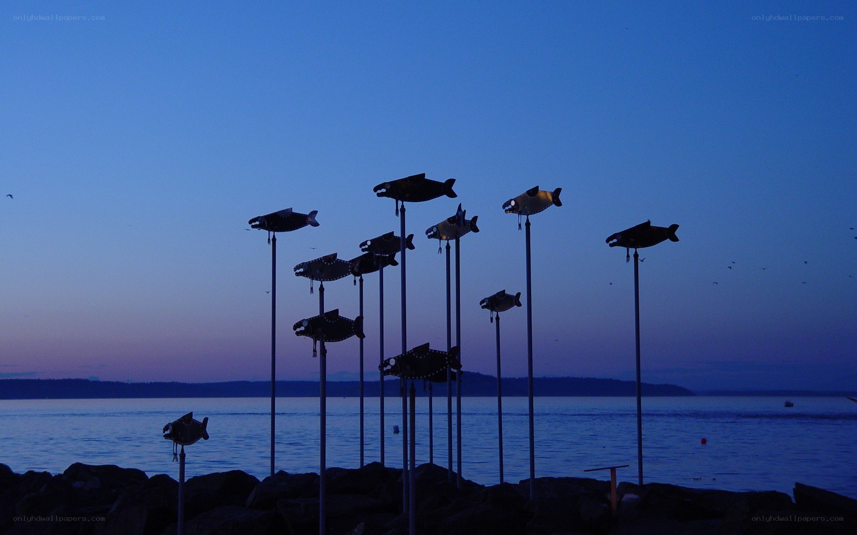 Fish sculptures at dusk