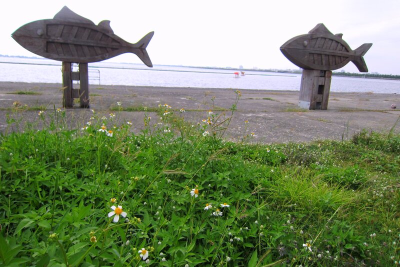 Fish Sculptures by Water