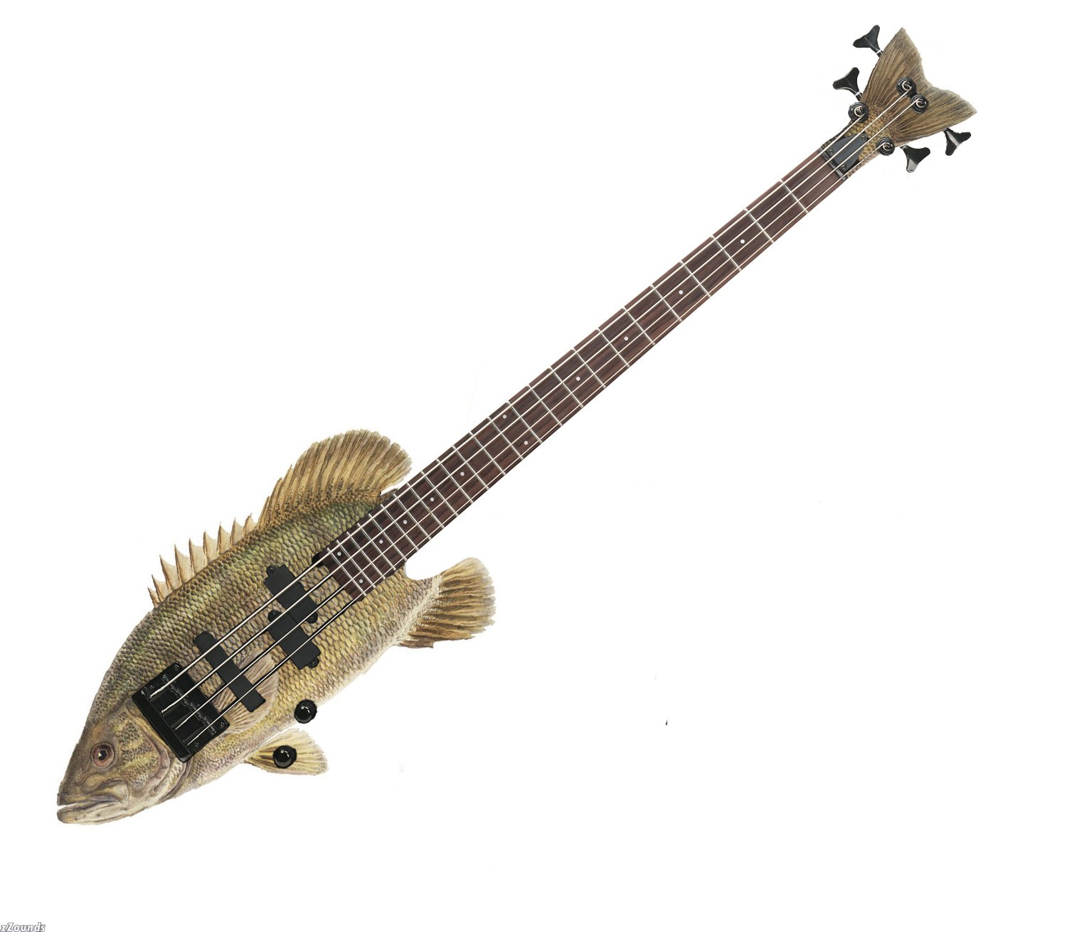 fish-shaped bass guitar