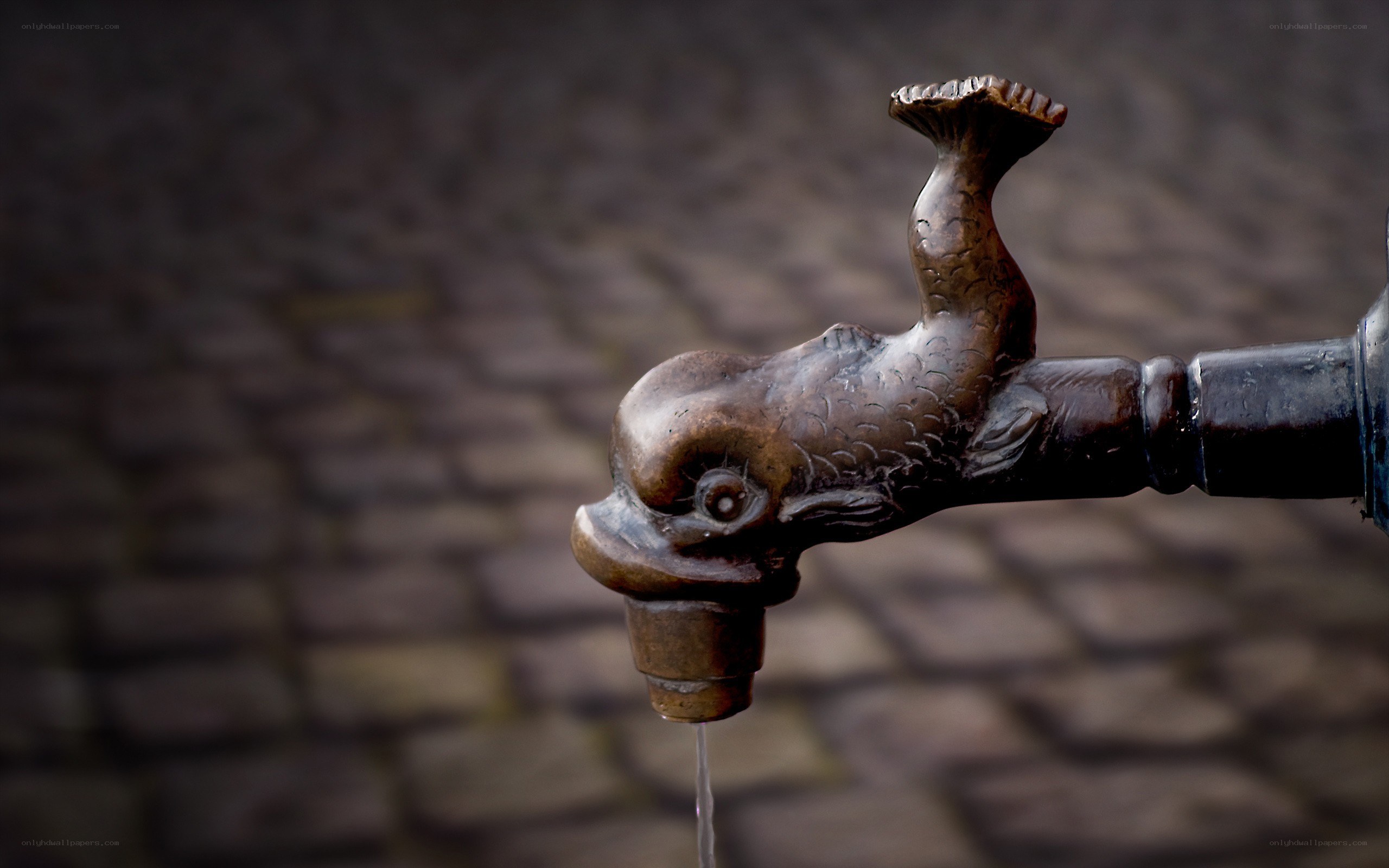 fish-shaped water faucet