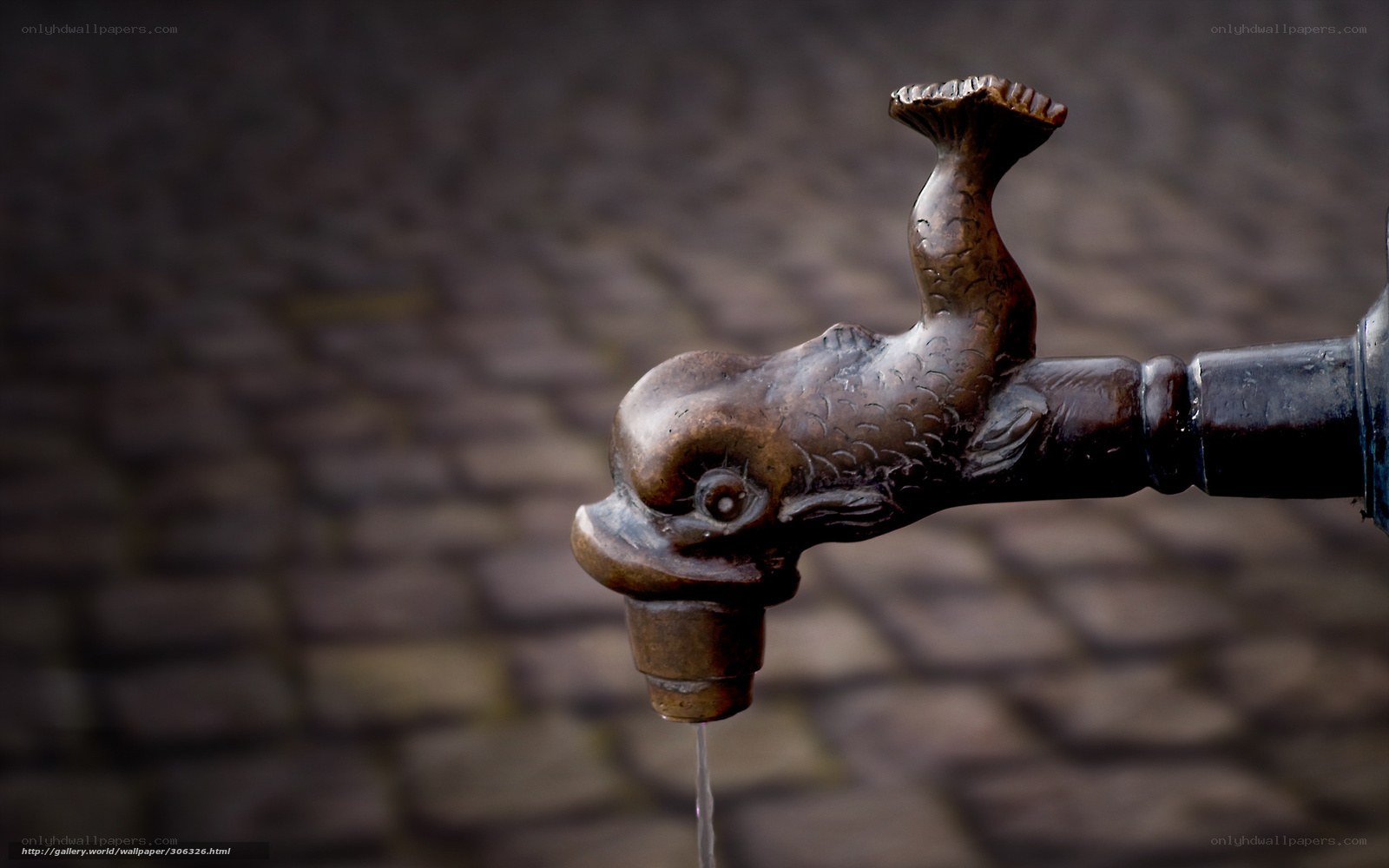 fish-shaped water tap