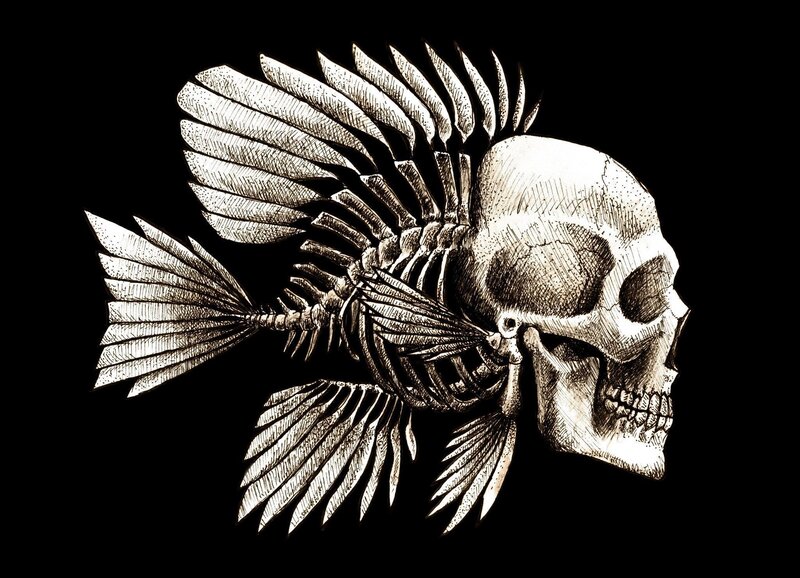 Fish Skeleton Skull