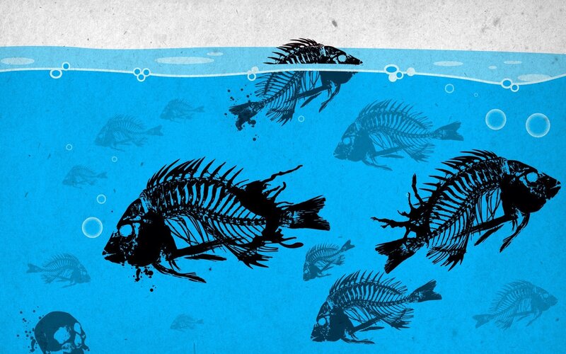 Fish skeletons underwater