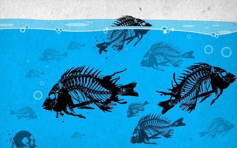 fish skeletons underwater