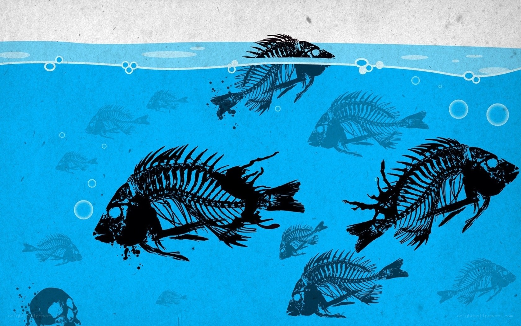 fish skeletons underwater