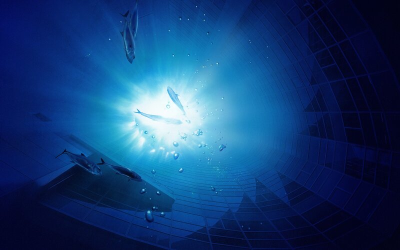 Fish Swimming in Aquarium — Blue