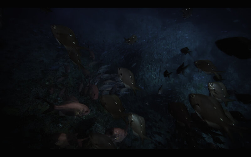 Fish swimming in dark water