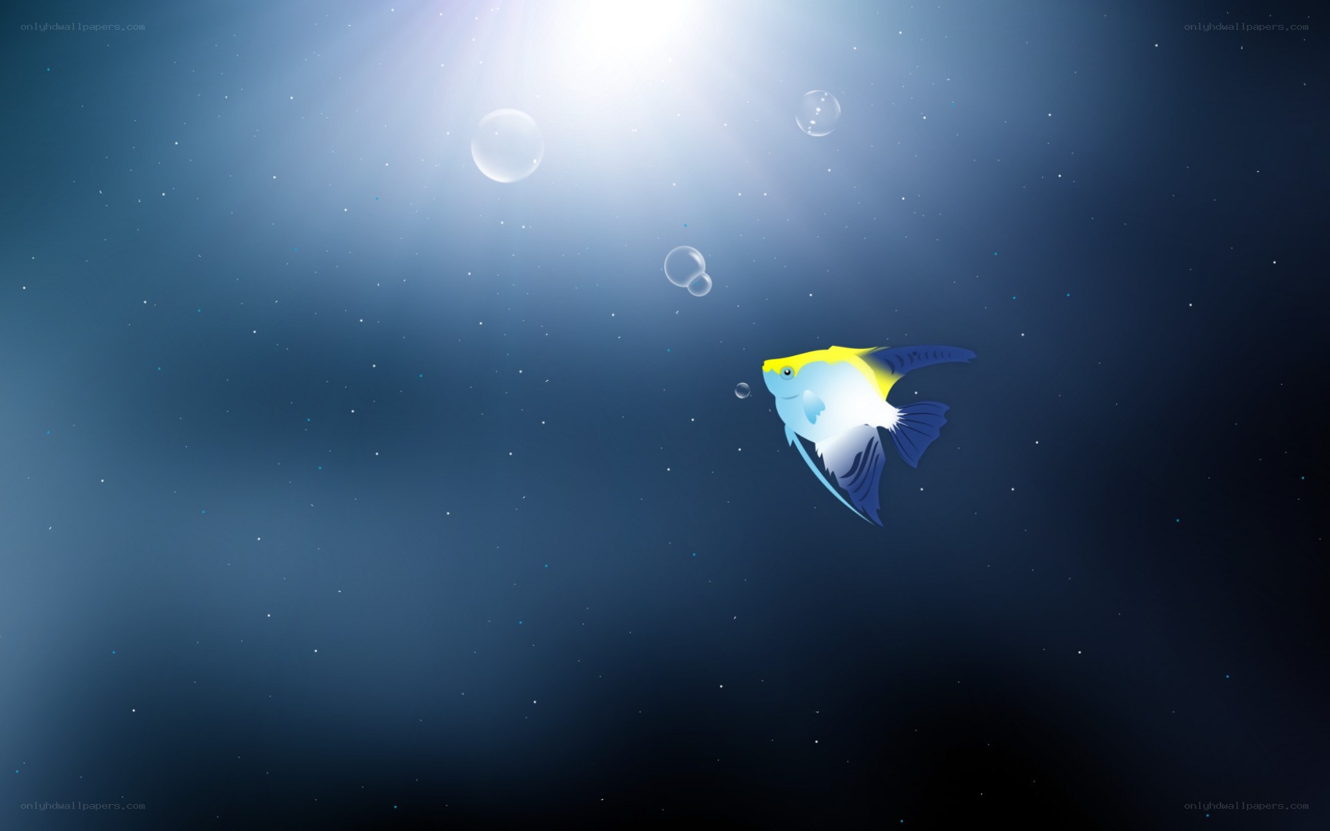 fish swimming in deep water