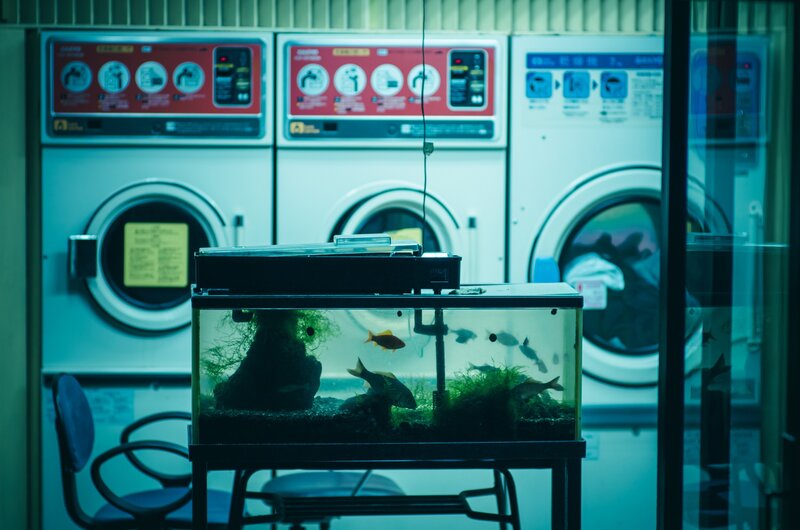 Fish Tank in Laundromat