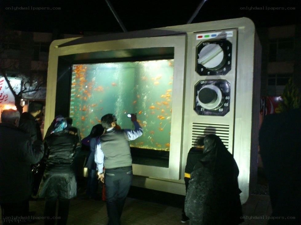 Fish tank in TV-shaped display