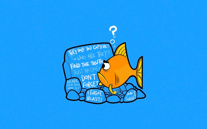 fish trapped in a puzzle