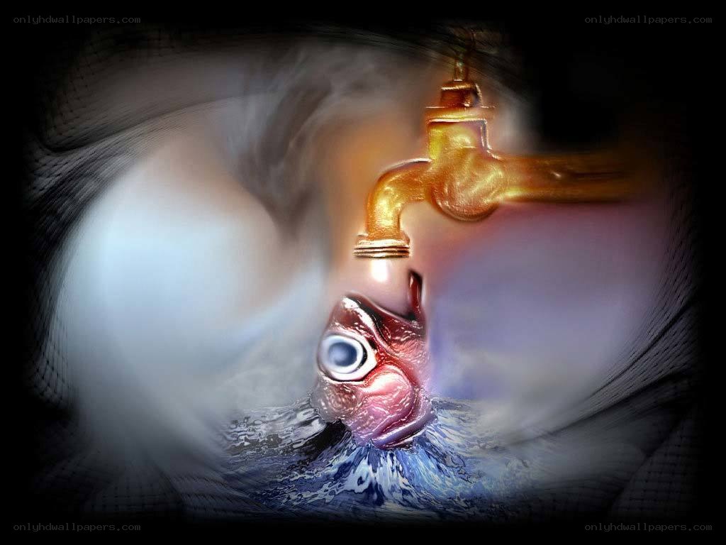 fish under a faucet