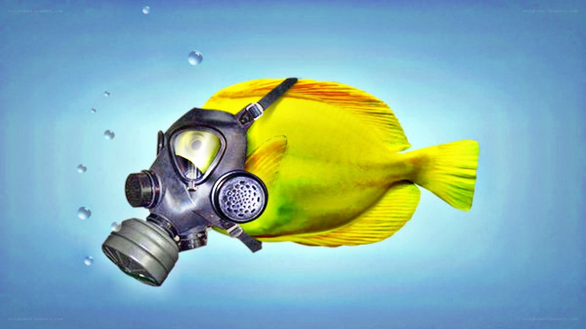 fish wearing gas mask