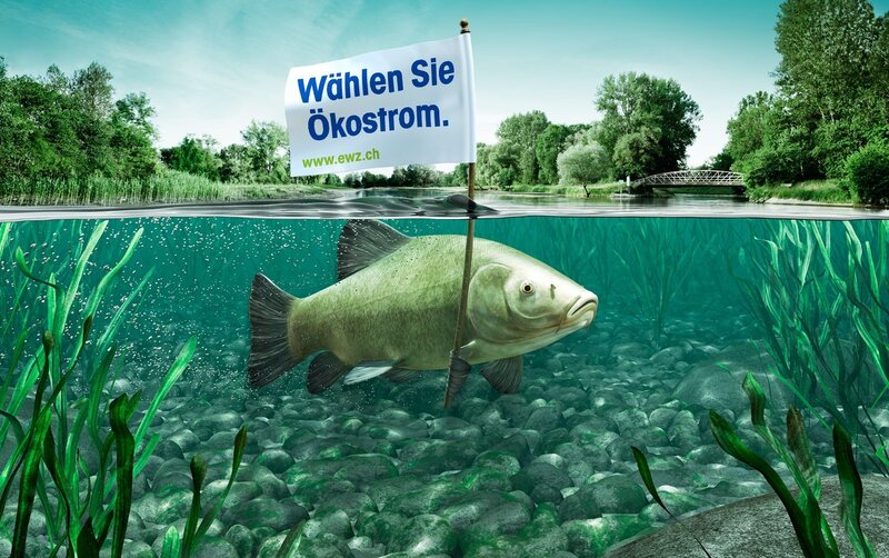 Fish with a sign in river