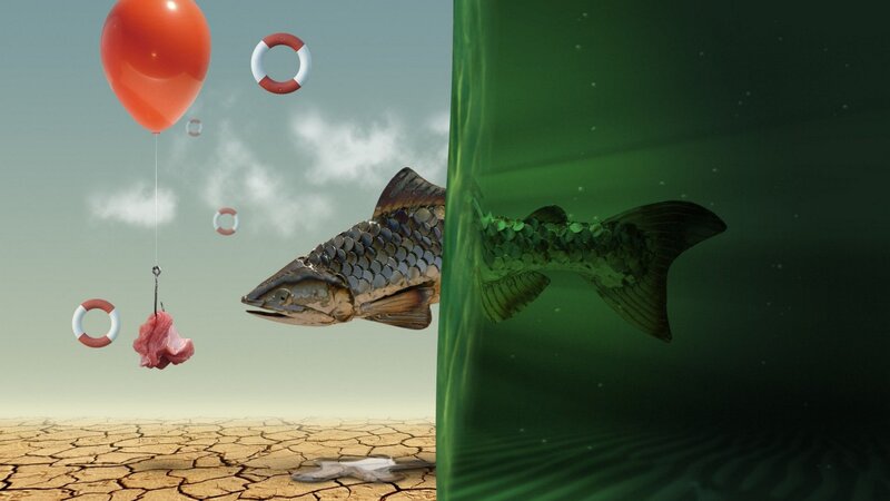 Fish with Bait