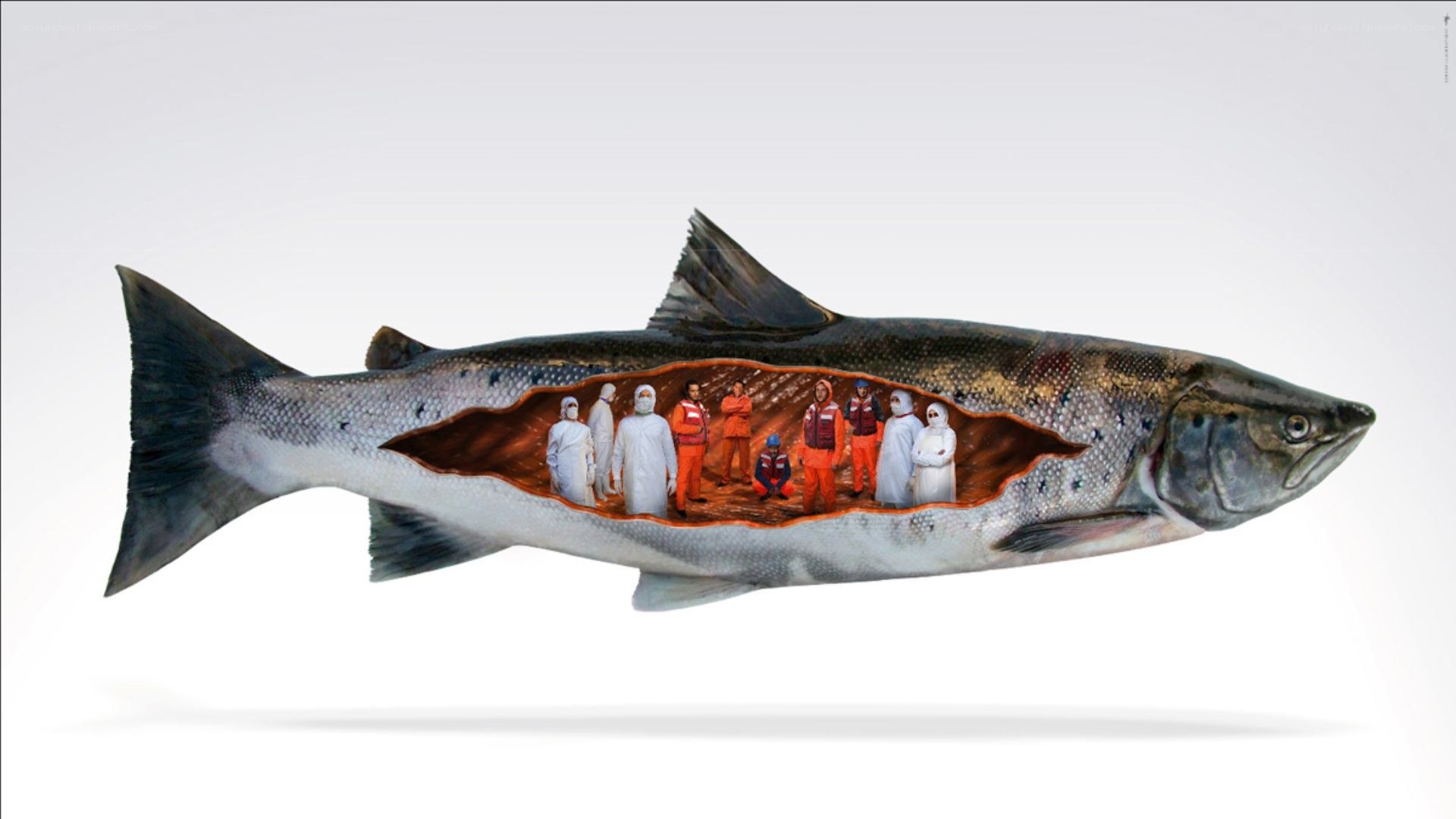 Fish with people inside