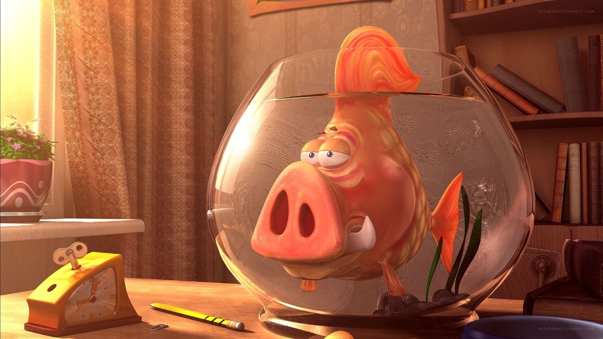fish with pig face in fishbowl