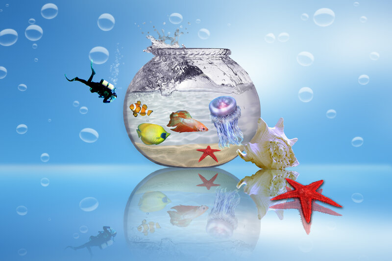 Fishbowl with Marine Life