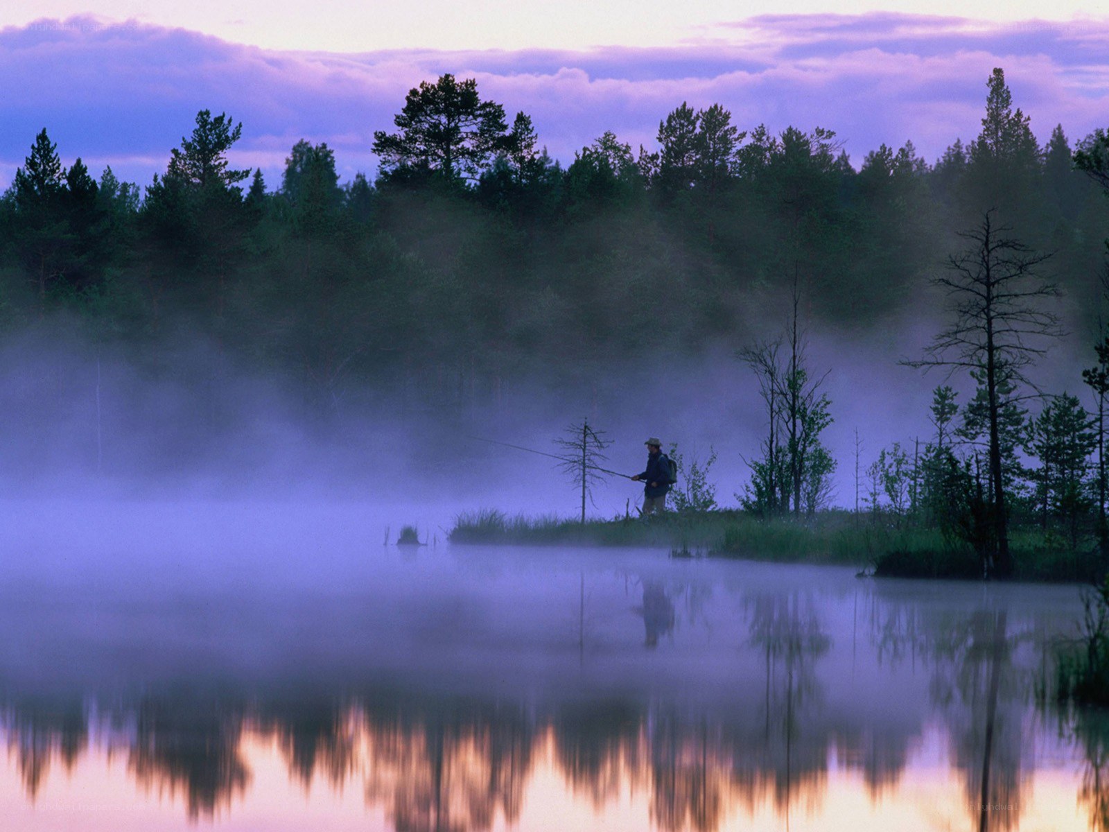 Fisherman at dawn in mist