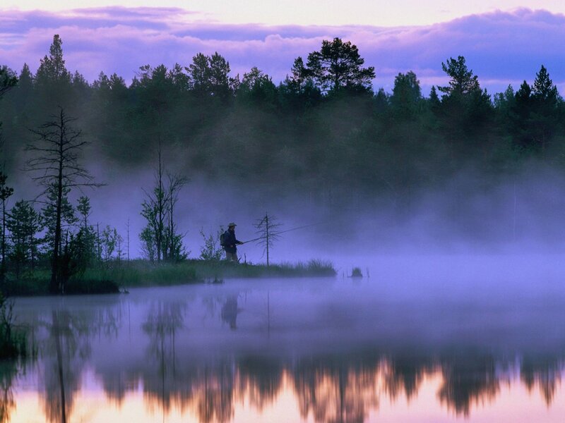 Fisherman at dawn in misty forest