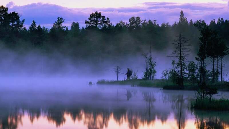 Fisherman at dawn in misty forest