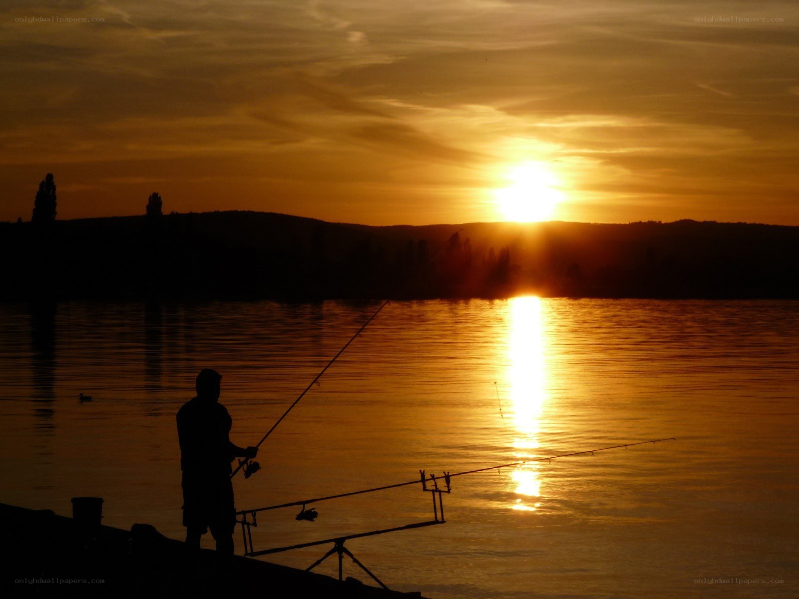 Fisherman at sunset