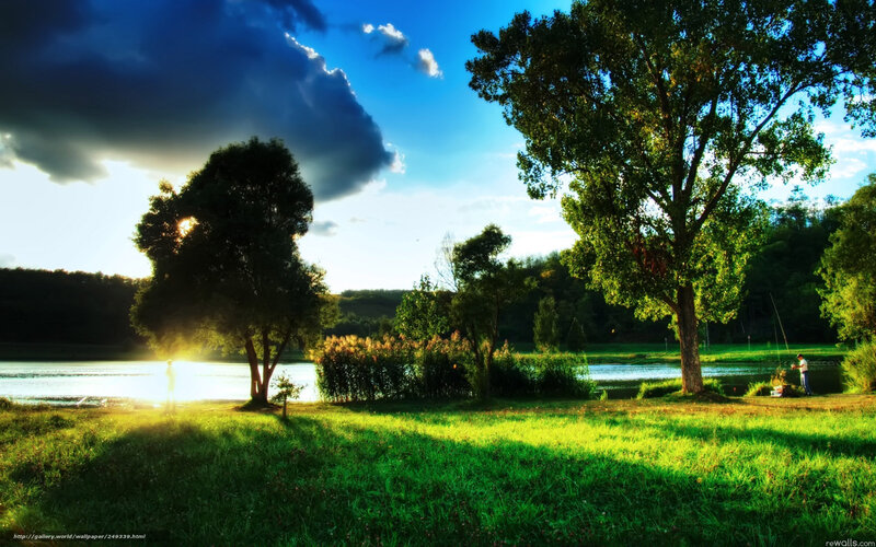 Fisherman by Lake