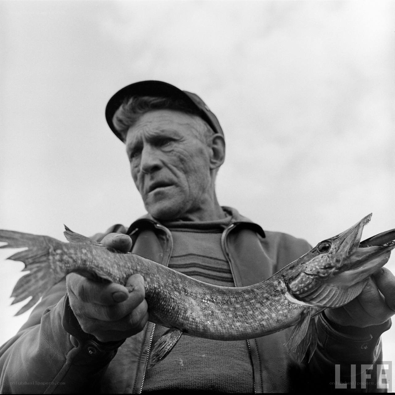 fisherman holding pike fish