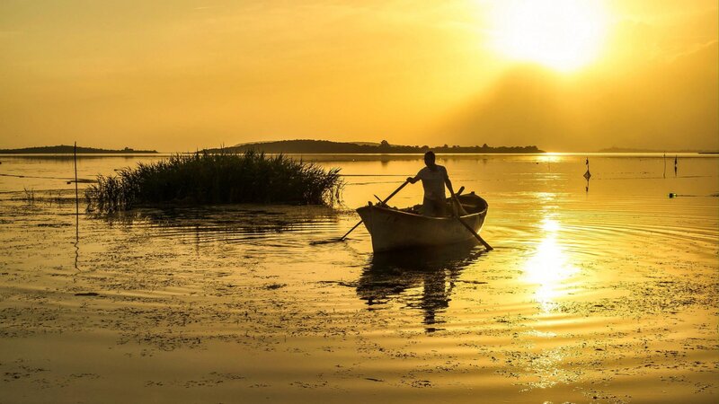 Fisherman in a Boat — Yellow, Serene, Sunset