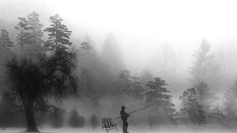 Fisherman in a foggy forest