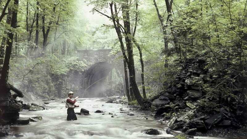 Fisherman in a misty forest stream