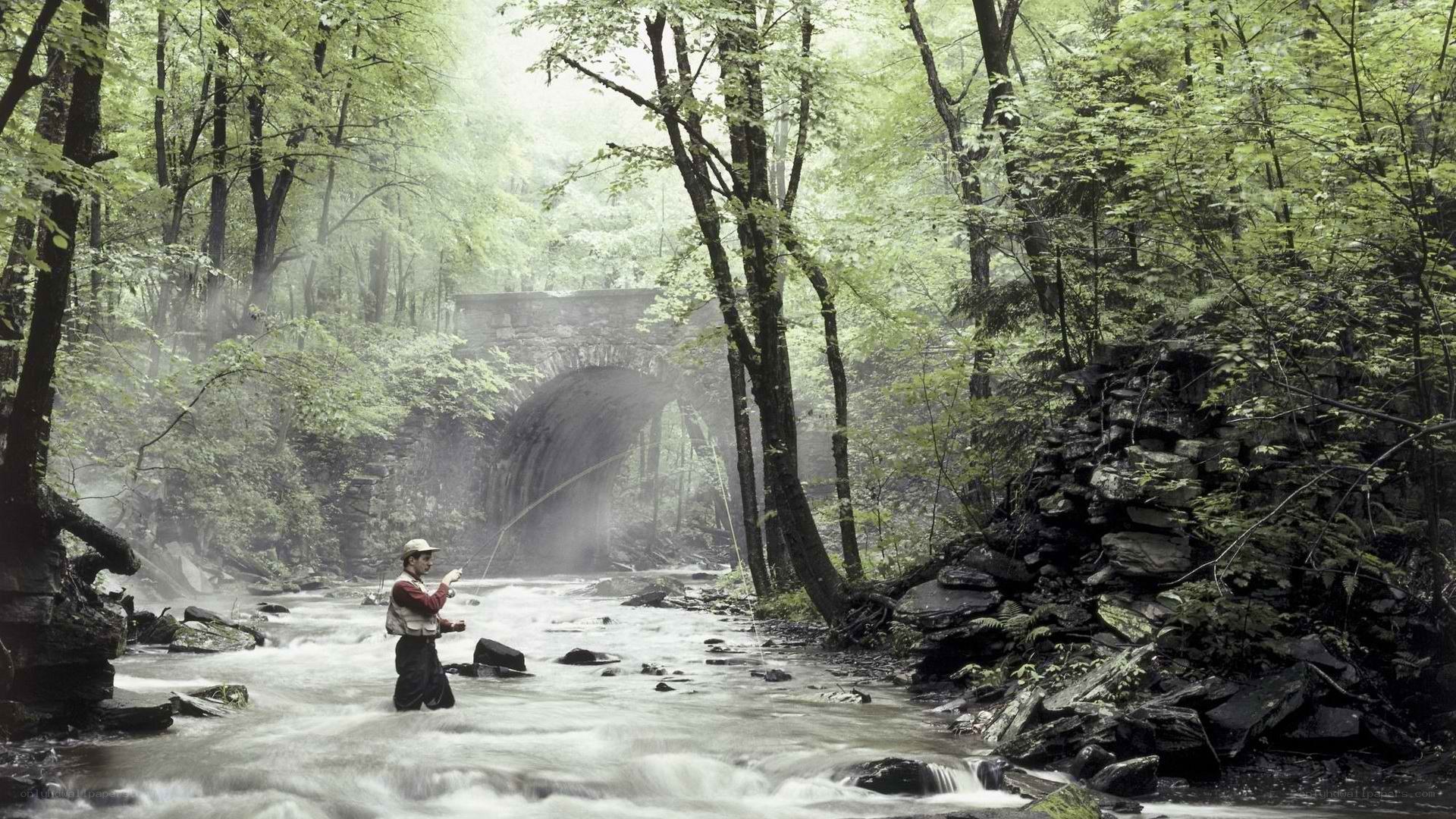 Fisherman in a misty forest stream