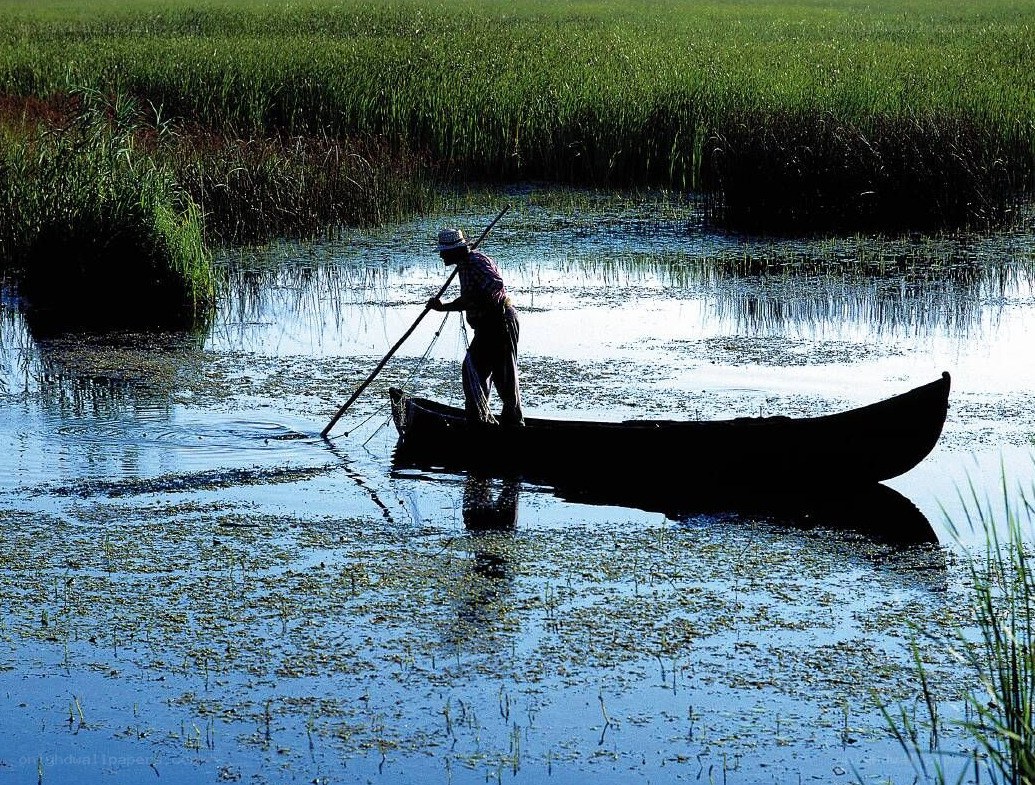 Fisherman in a small boat