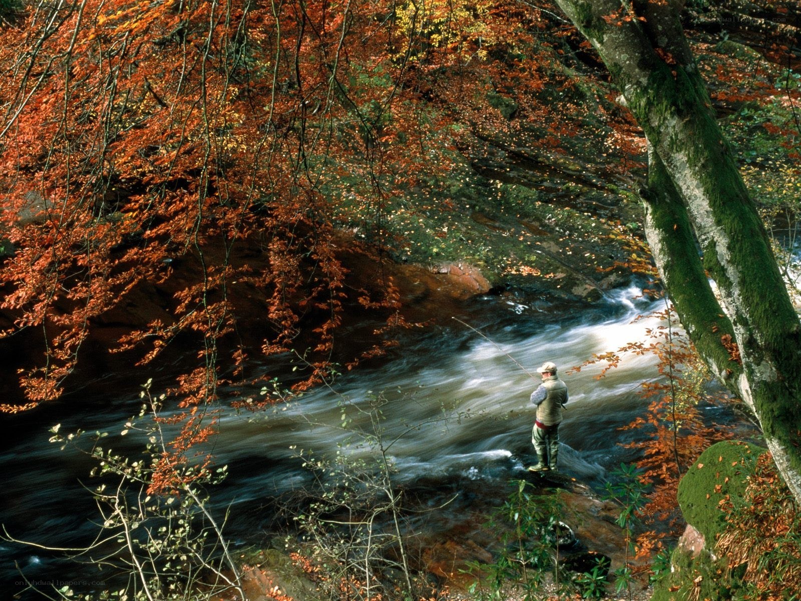 Fisherman in autumn forest
