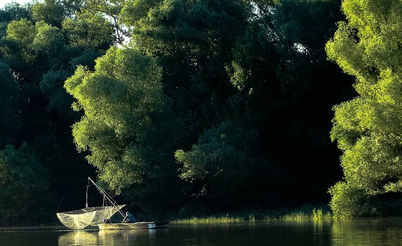 Fisherman in Boat — Green