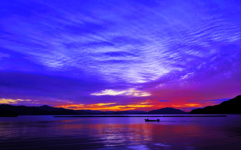 Fisherman in Boat — Purple