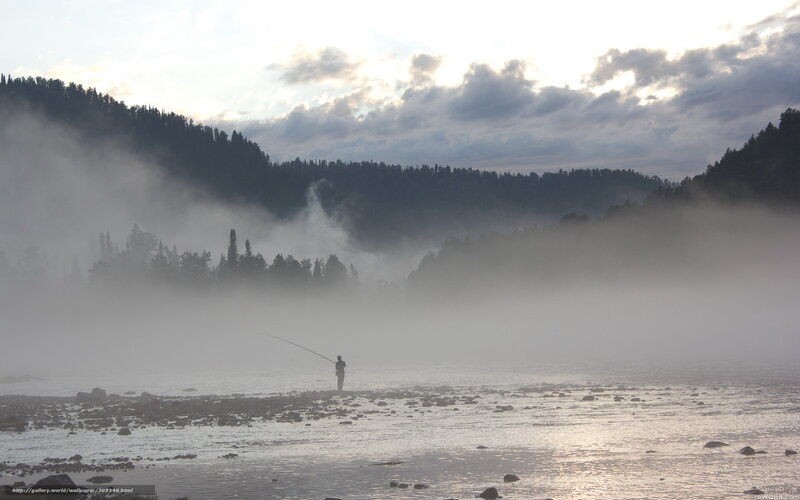 Fisherman in Mist — Gray
