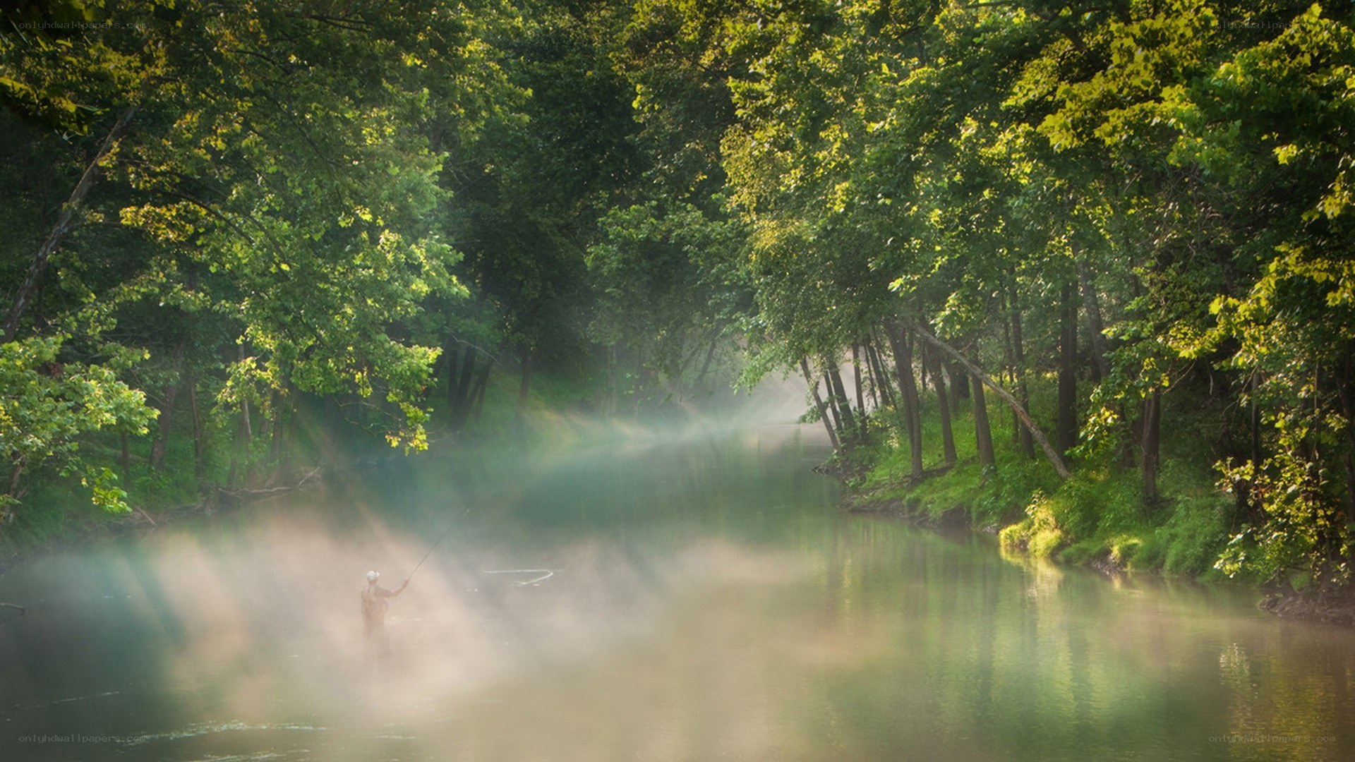 Fisherman in misty forest river