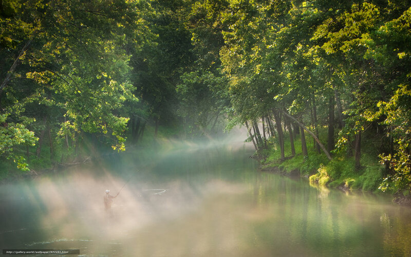 Fisherman in misty forest river