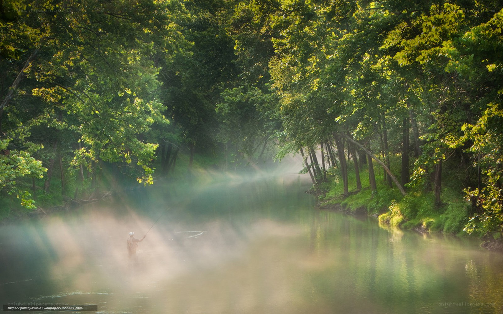 Fisherman in misty forest river
