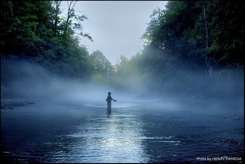Fisherman in misty river