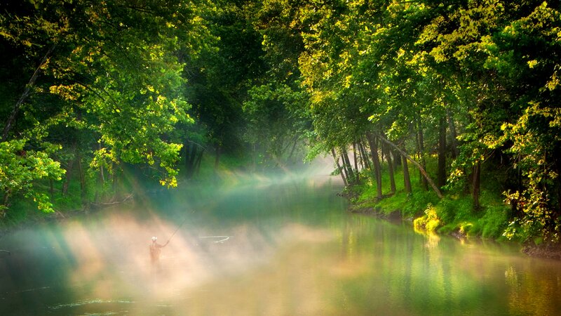 Fisherman in Misty River — Green