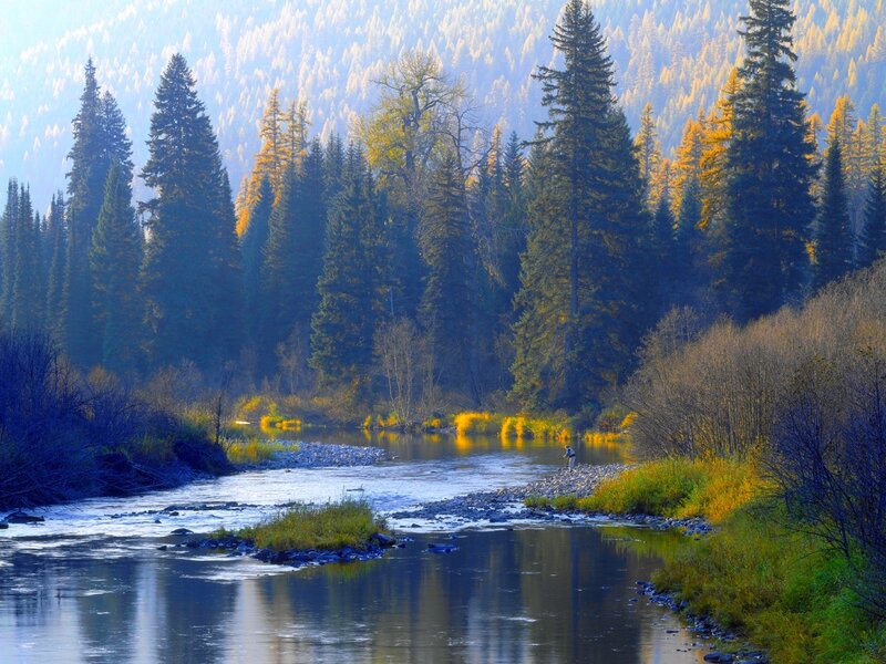 Fisherman in River — Green