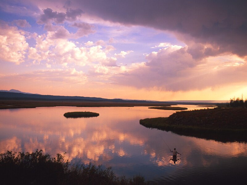 Fisherman in River — Purple
