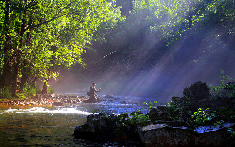 Fisherman in Stream